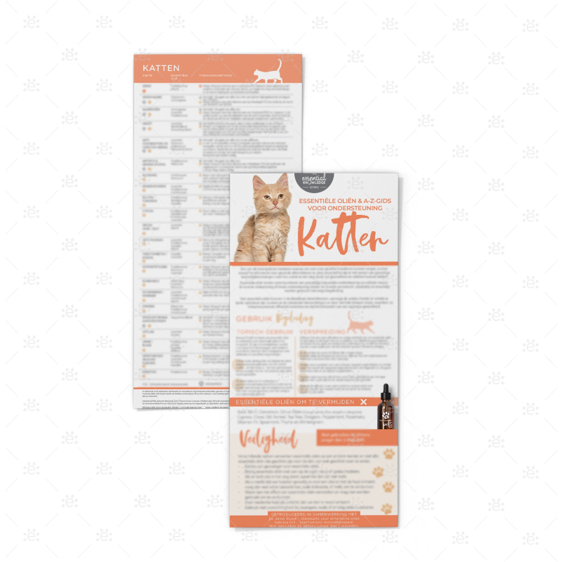 Cats A-Z of Ailments Rack Card (Single) - DUTCH Rack Cards
