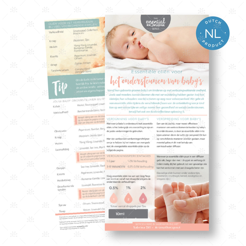Supporting Babies Rack Card (single) - DUTCH Rack Cards