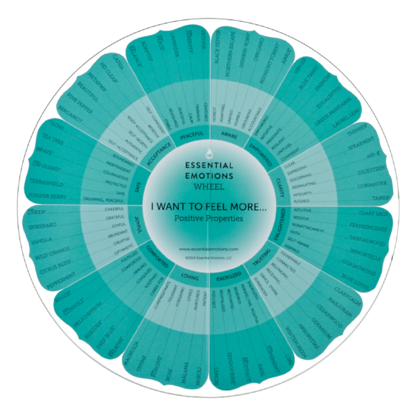 Essential Emotions 13th Edition Wheel - ENGLISH
