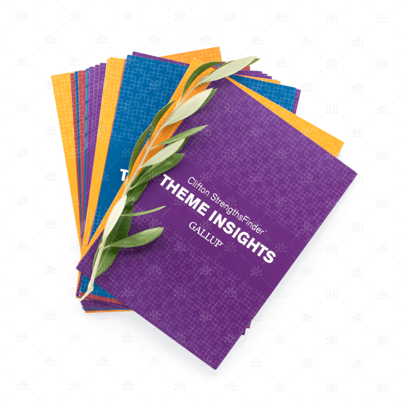 Clifton Strengths Gallup Theme Insights Cards (37 Card Set)