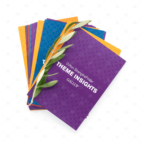 Clifton Strengths Gallup Theme Insights Cards (37 card set) - ENGLISH ...